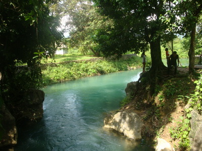 DSC08558