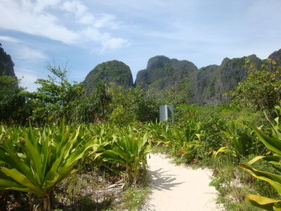 DSC05650