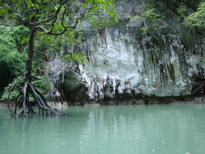 DSC02594