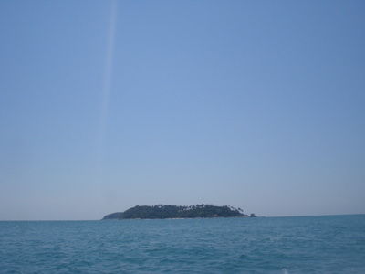 DSC08394