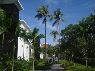DSC08156