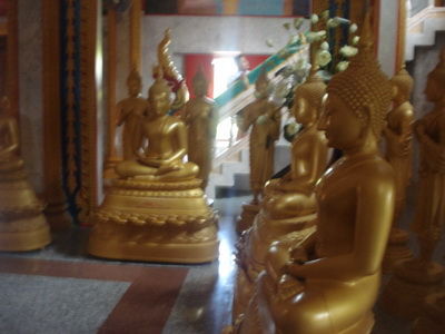 DSC08202