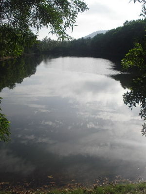 DSC08150