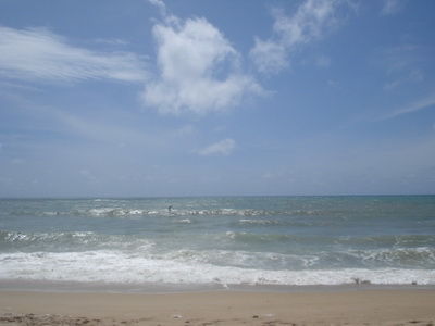 DSC06040