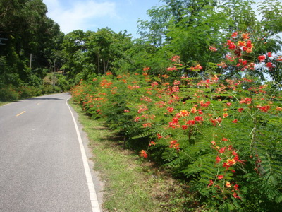 DSC02435