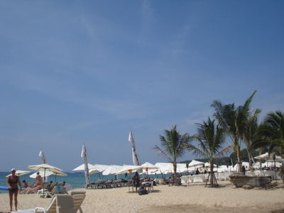 DSC07911