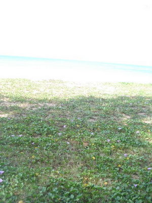 DSC08259