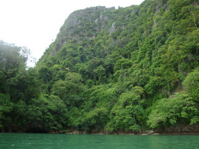 DSC02523