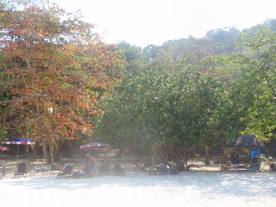 P2220088