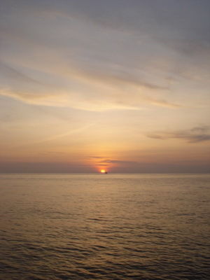 DSC07943