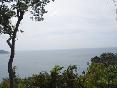 DSC08185
