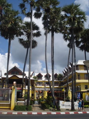 DSC07866
