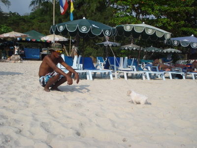 DSC08511