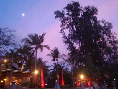 DSC04256