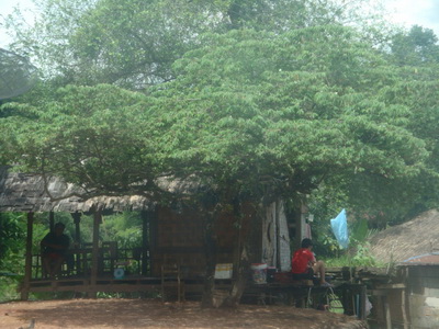 DSC08520