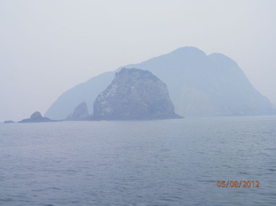 moya 001