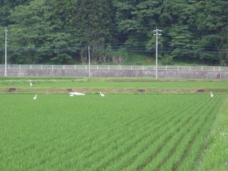 DSCN0481