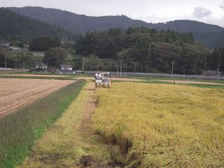 DSCN0930