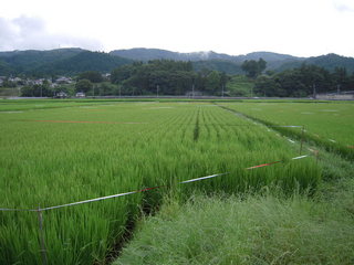 DSCN0705