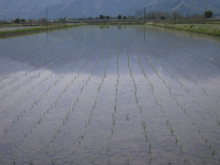 DSCN0288