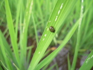DSCN0570