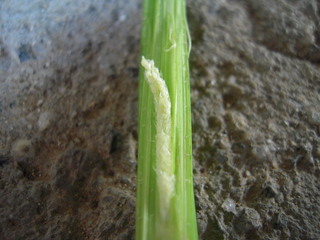 DSCN0580
