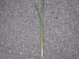DSCN0575