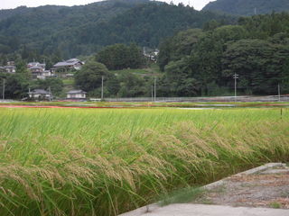 DSCN0829