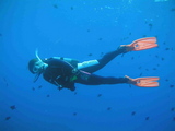 eeda1f51.jpg