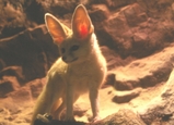3067d8e0.JPG