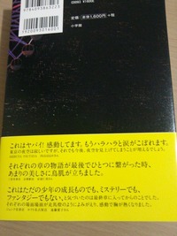 c2c42f85.jpg