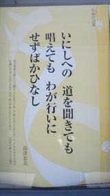 3554f85c.jpg