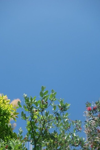 青空