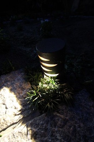 風草