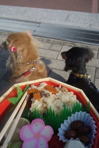 弁当