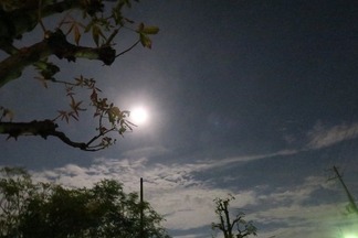 月夜