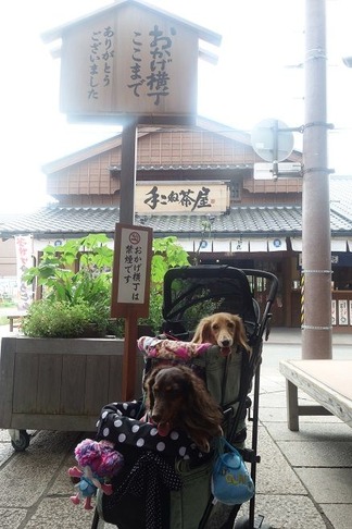おかげ横丁ここまで