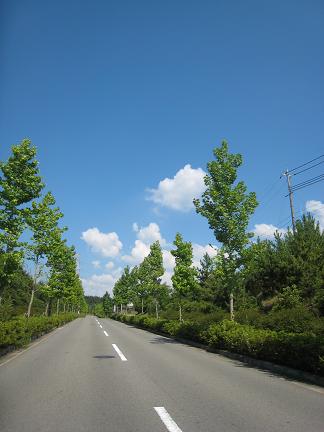 ぽっかり浮かぶ雲