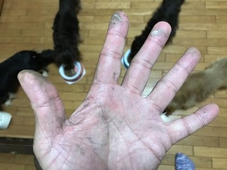 素手