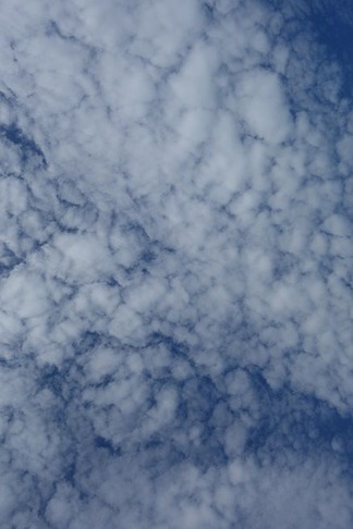 雲