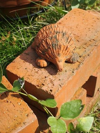 ハリネズミ