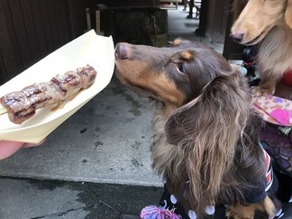 松阪牛串焼