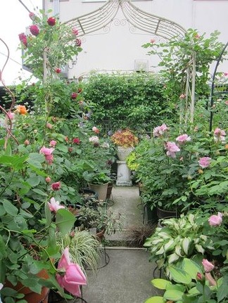 薔薇のアーチ