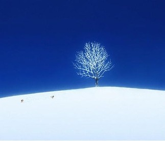おおかみこどもの雨と雪