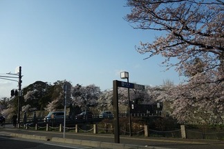 彦根城