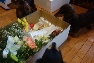 花束