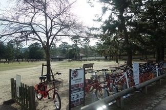 奈良公園