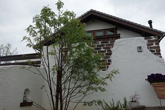 ナナカマド