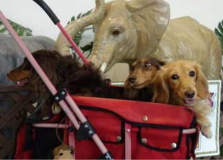 動物園