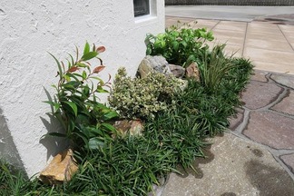 植栽仕上げ